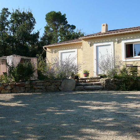 Les Karakis, Piscine Au Sel, Jardin 5000M2 Villa Les Arcs-sur-Argens Eksteriør billede